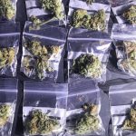 Detenido un conductor en Manacor con 114 gramos de marihuana