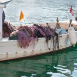 La Cofradía de pescadores de Ibiza valorará no capturar este año langosta local al bajar la demanda de los restaurantes