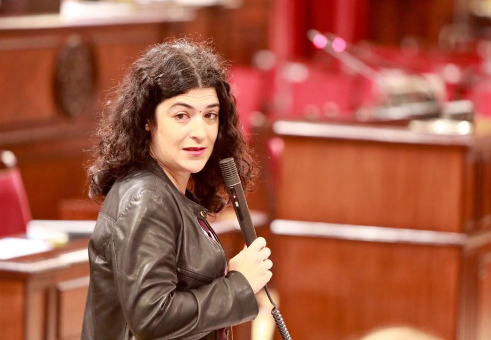 Isabel Castro, Parlament