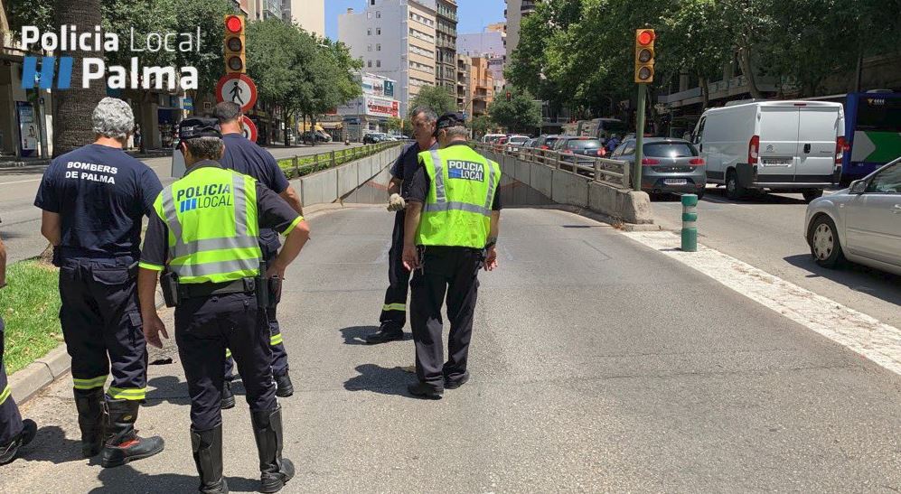 Policía de Palma socavón avenida alemania