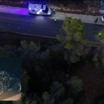 Fallece un conductor tras salirse de la carretera y chocar contra un árbol en Eivissa