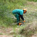 Endesa limpia la masa forestal de las líneas eléctricas de Menorca