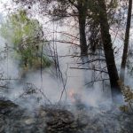 Incendio forestal en Eivissa