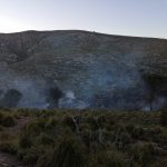 Extinguido un incendio forestal en Andratx tras quemar media hectárea de vegetación