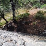 Investigan las causas de tres pequeños incendios declarados en Valldemossa