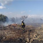 Extinguido un incendio en Son Macià tras quemar 3,2 hectáreas de superficie