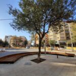 Cort afronta la recta final del anillo verde de la plaza Guillem Moragues de Pere Garau