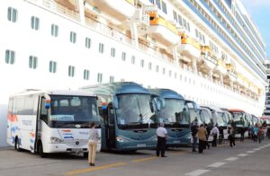 autobuses, transporte discrecional