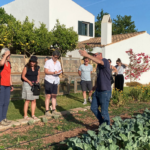 Un grupo de periodistas y agentes de viaje alemanes conoce la Menorca más natural y sostenible