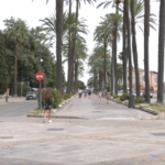 El policía local de Palma que atropelló a tres personas en el Paseo Sagrera perseguía una presunta agresión machista