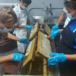 Alumnos de cocina y gastronomía del IES Sa Serra conocen cómo se produce la miel de Eivissa